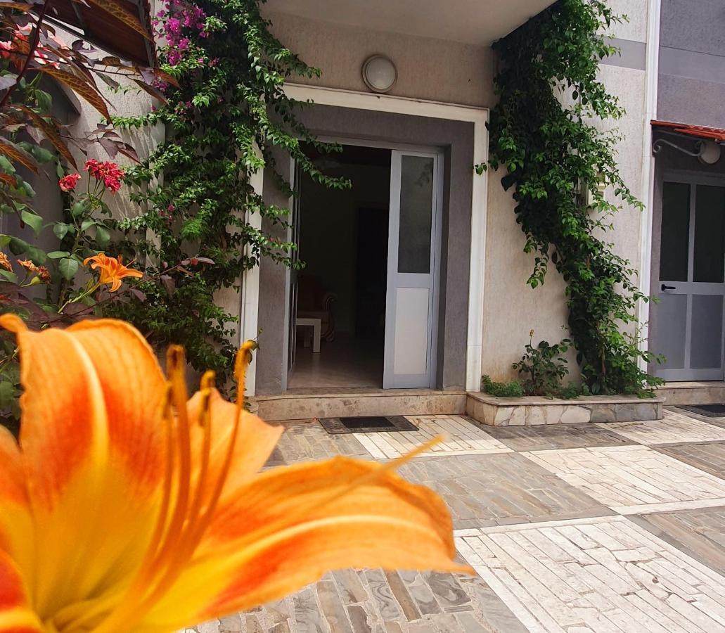 A Cheerful Villa With Free Parking Space Tiran Dış mekan fotoğraf